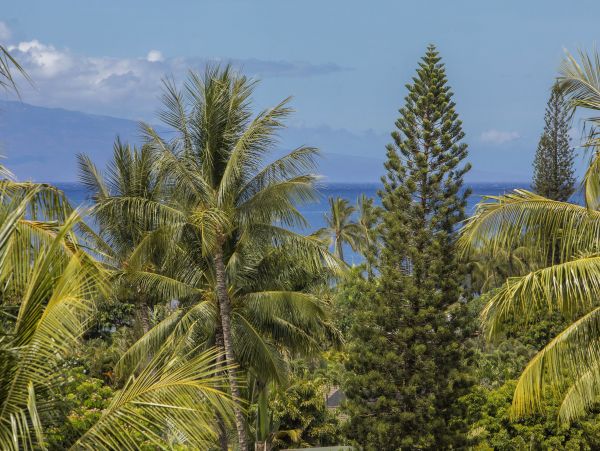 Wailea Condo 978149