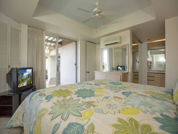 Wailea Condo 978149