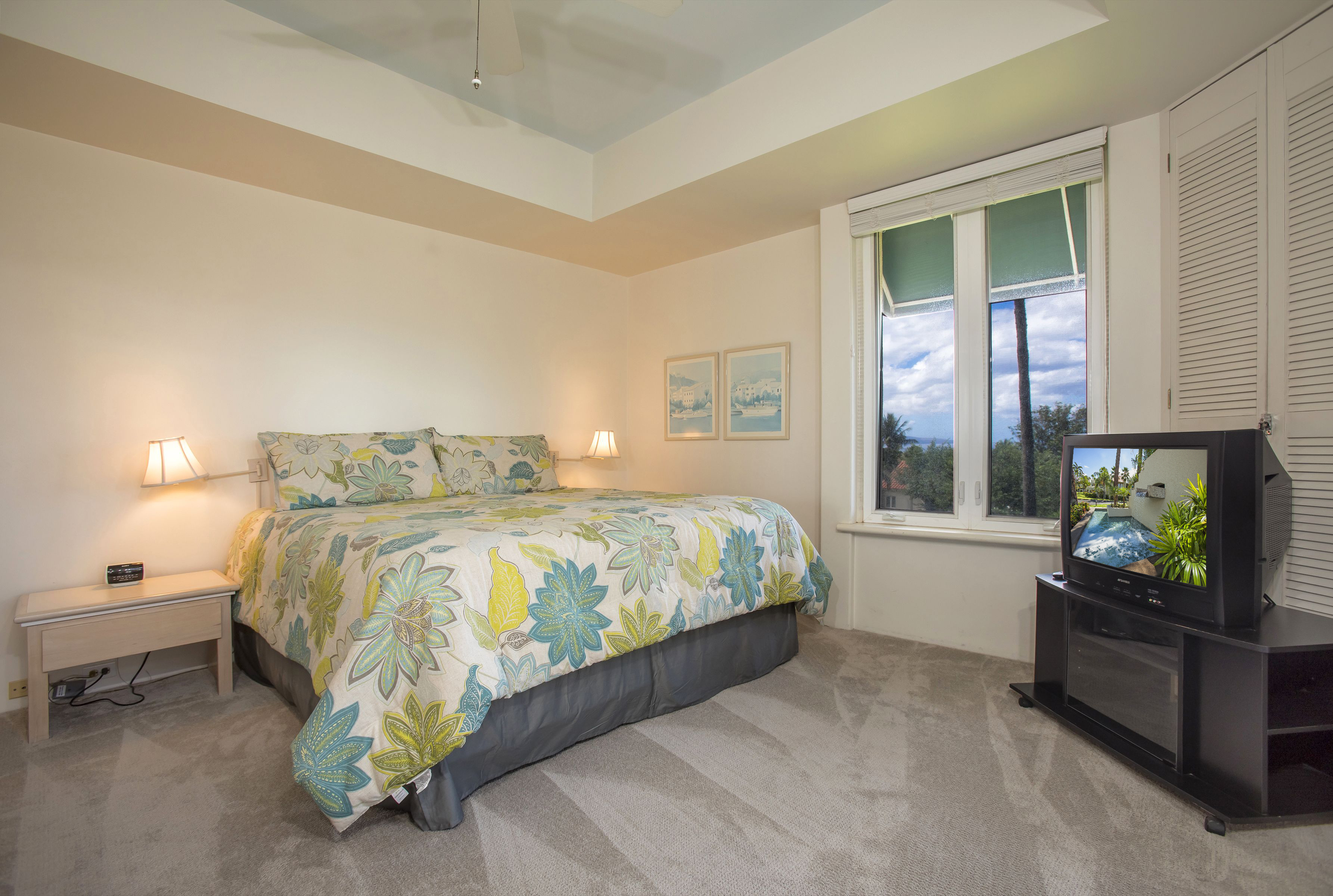 Wailea Condo 978149