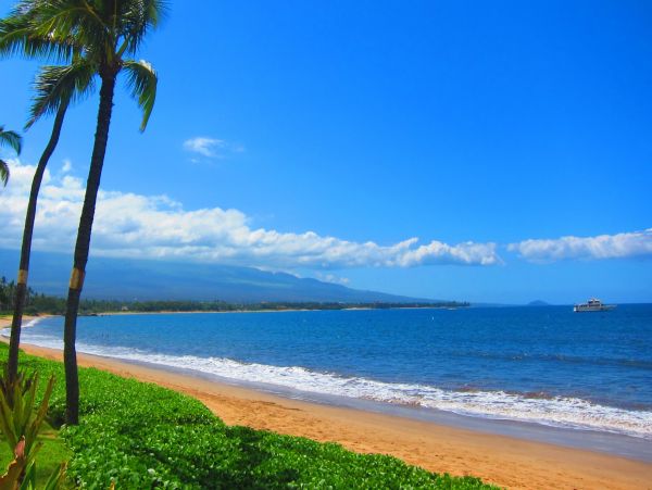 Kihei Condo 978152