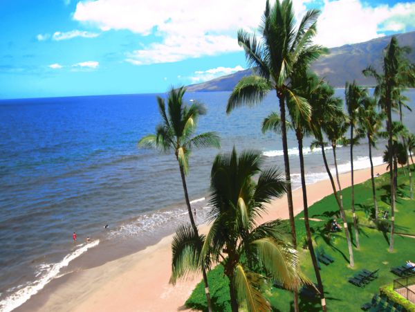 Kihei Condo 978152