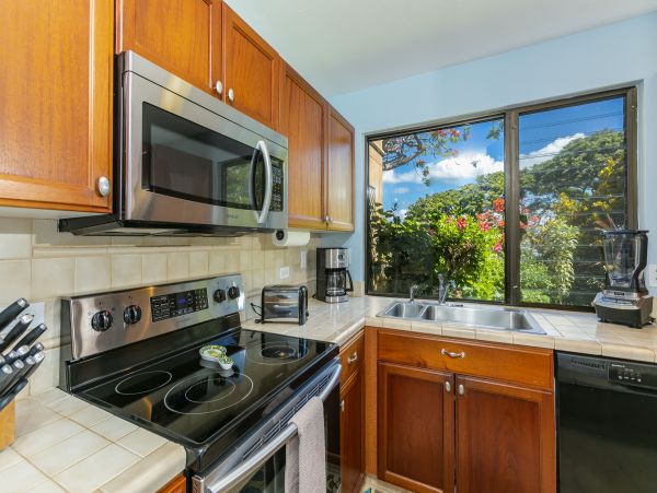 Wailea Condo 978153