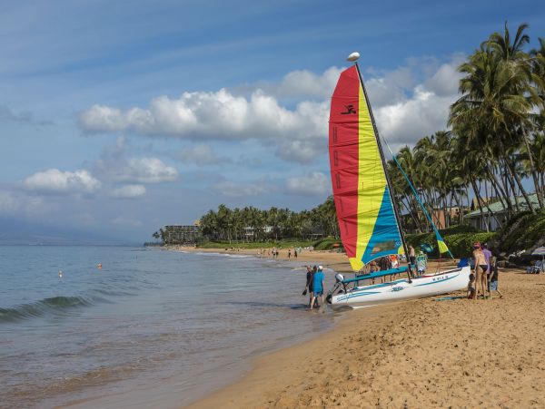 Wailea Condo 978153