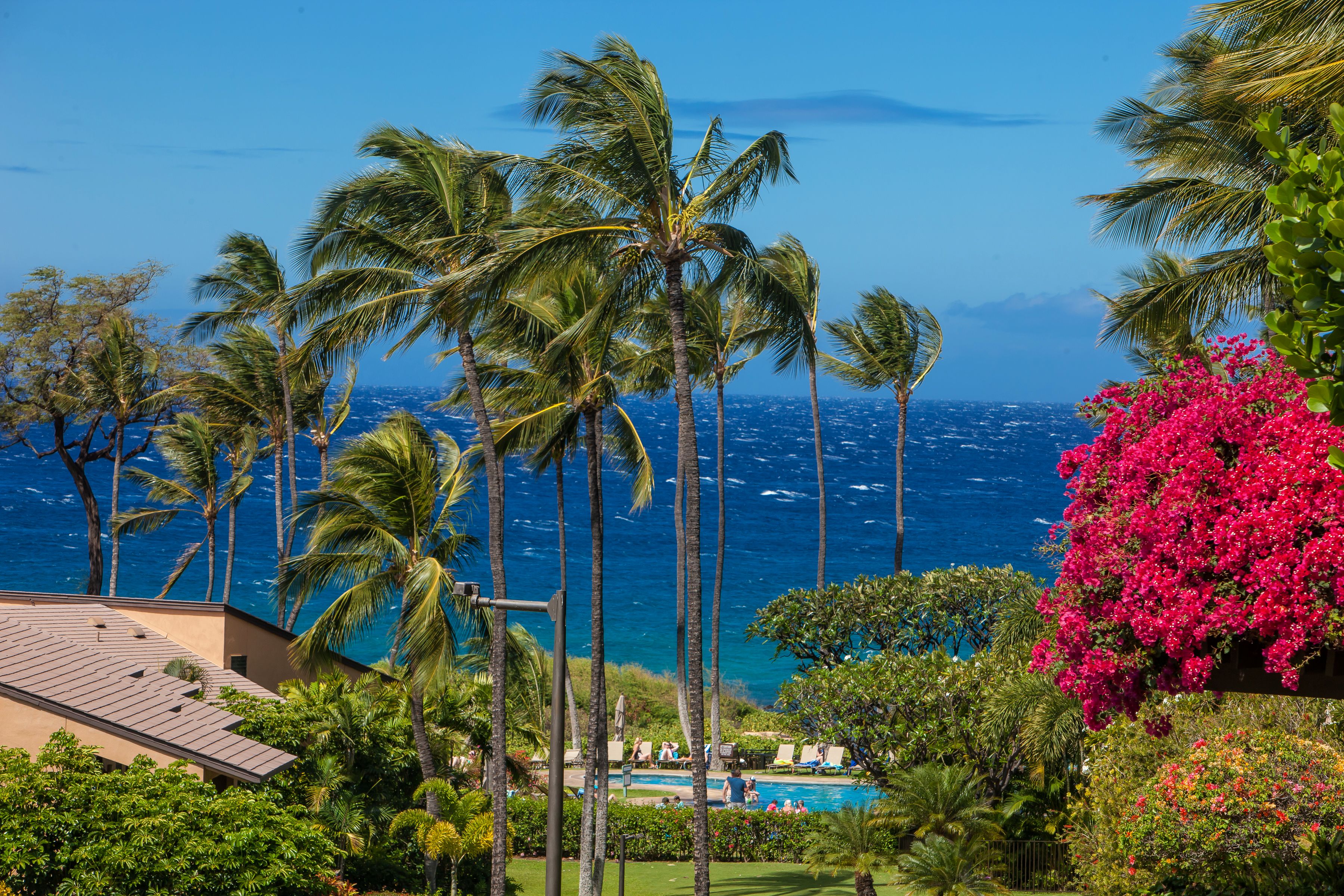 Wailea Condo 978153