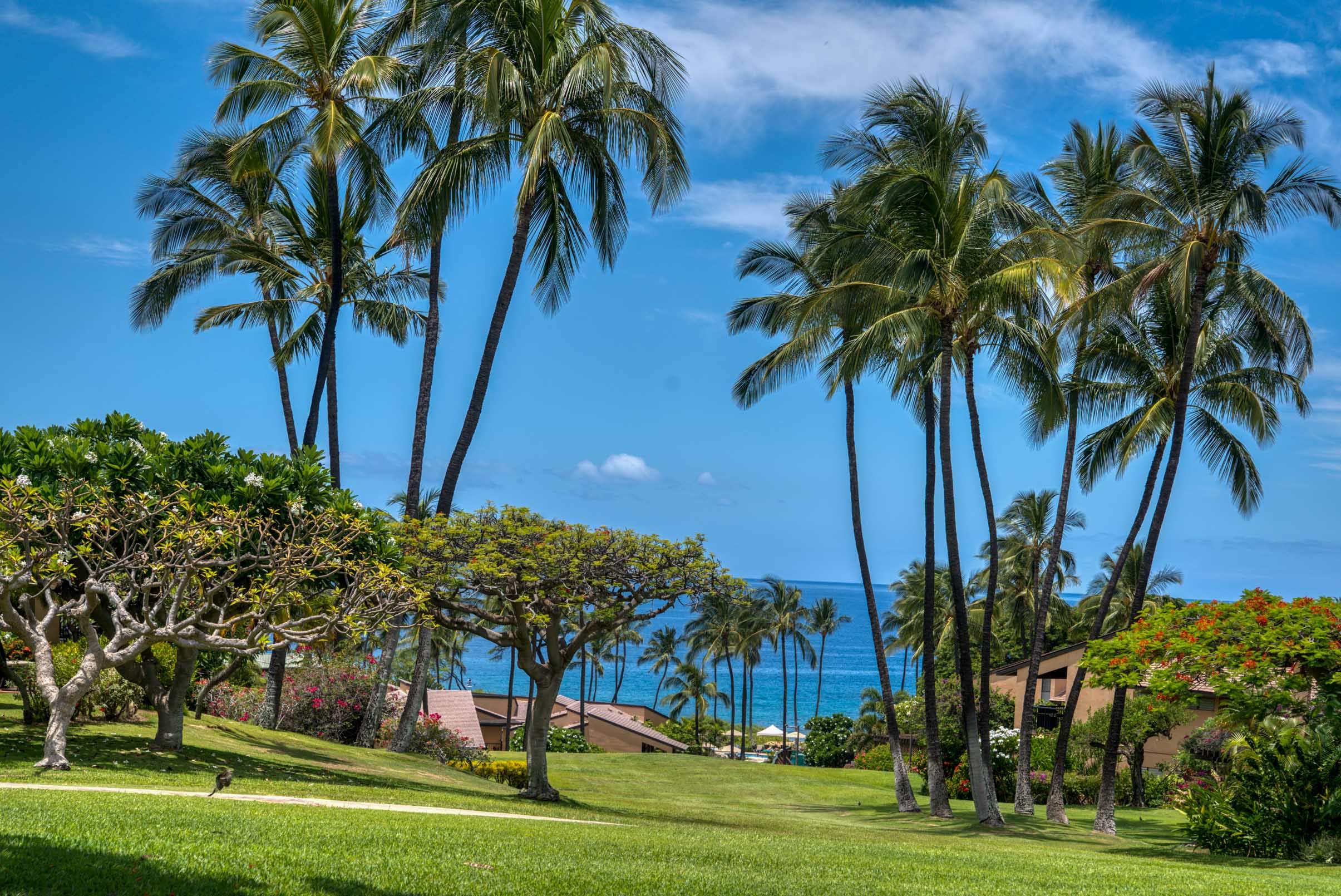 Wailea Condo 978154