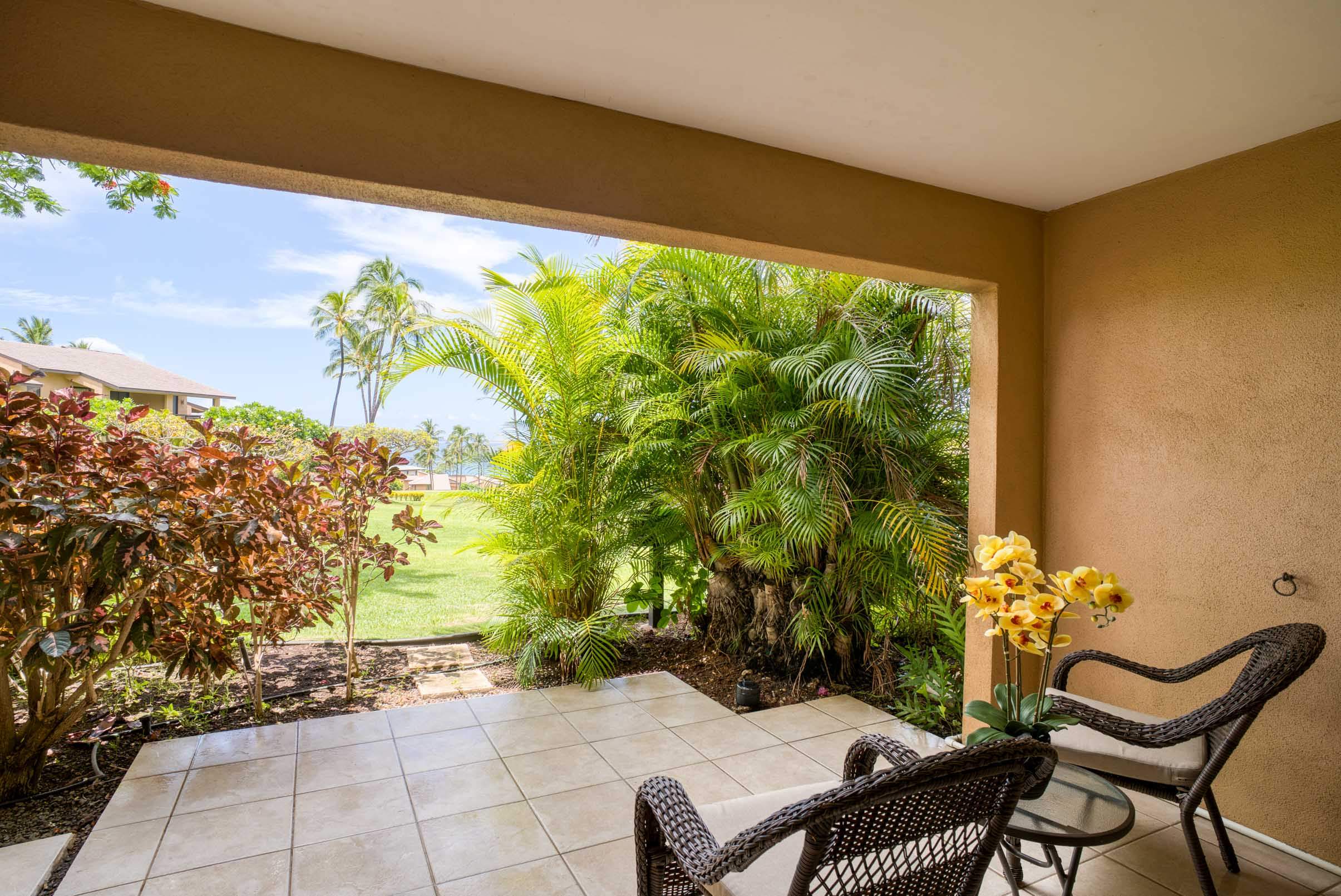 Wailea Condo 978154