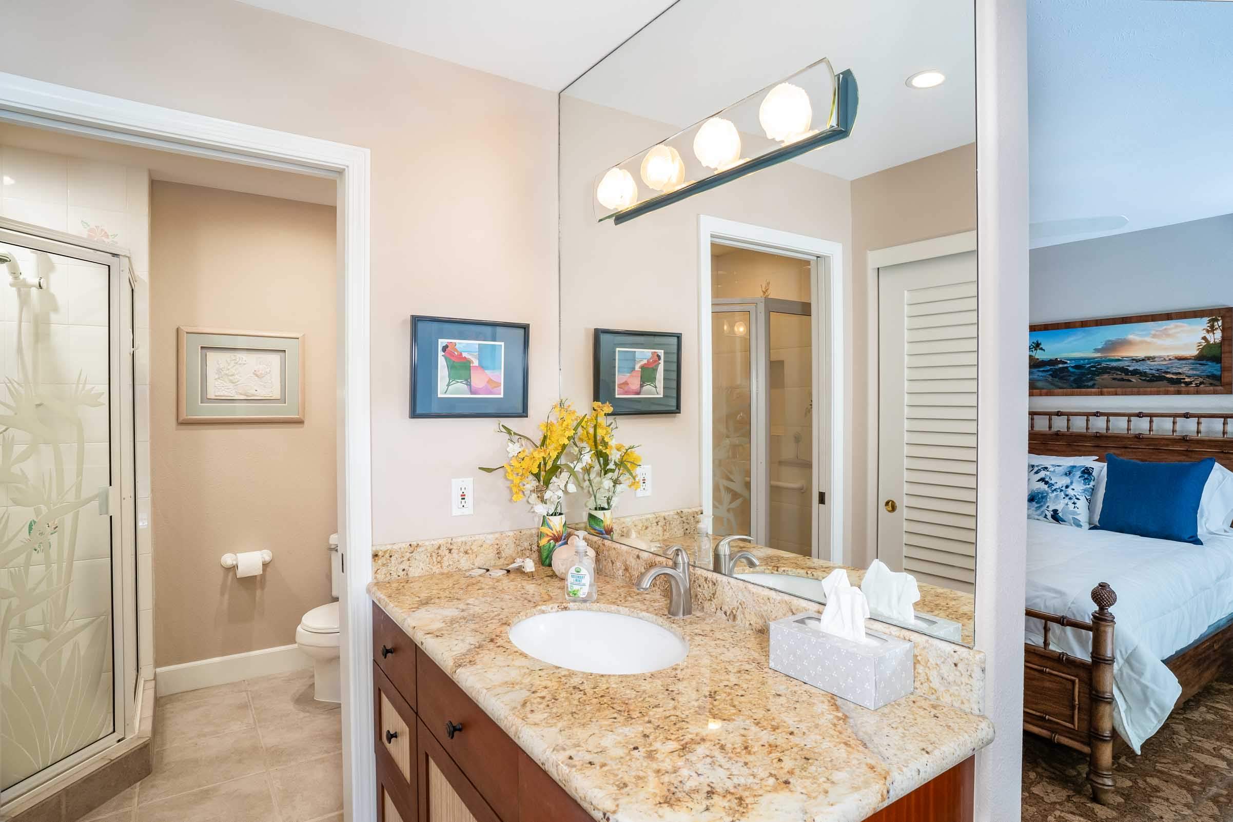 Wailea Condo 978154