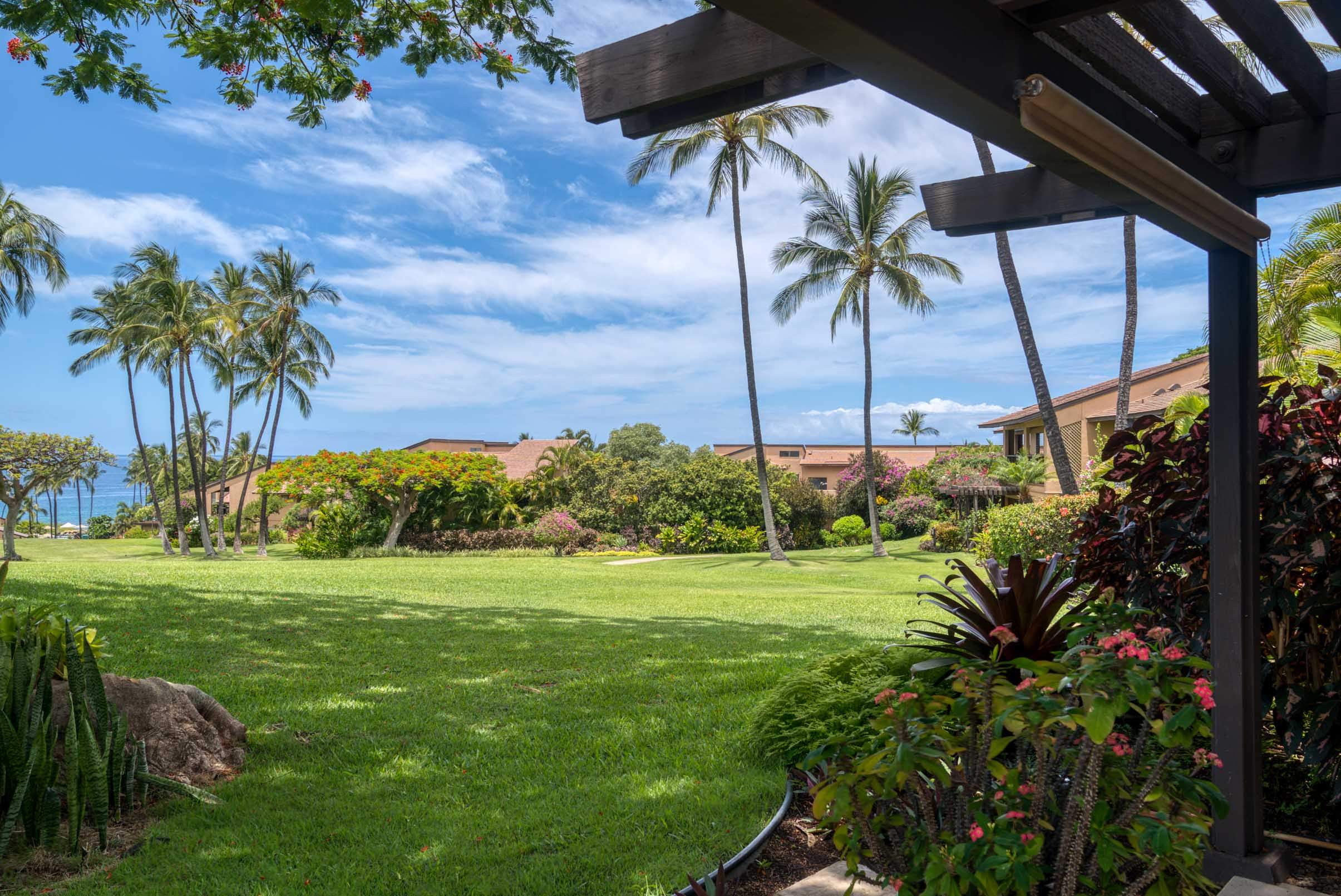 Wailea Condo 978154