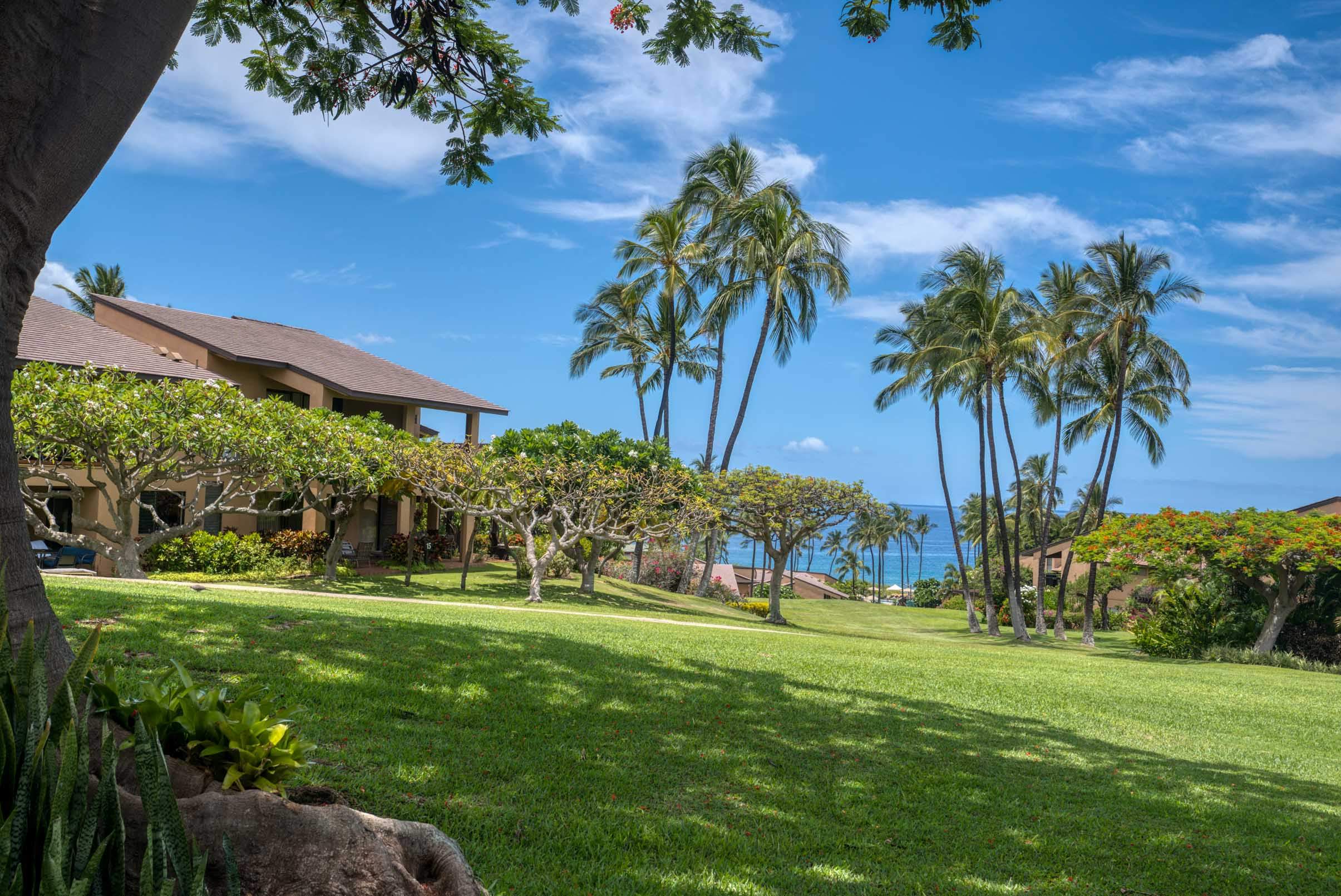 Wailea Condo 978154