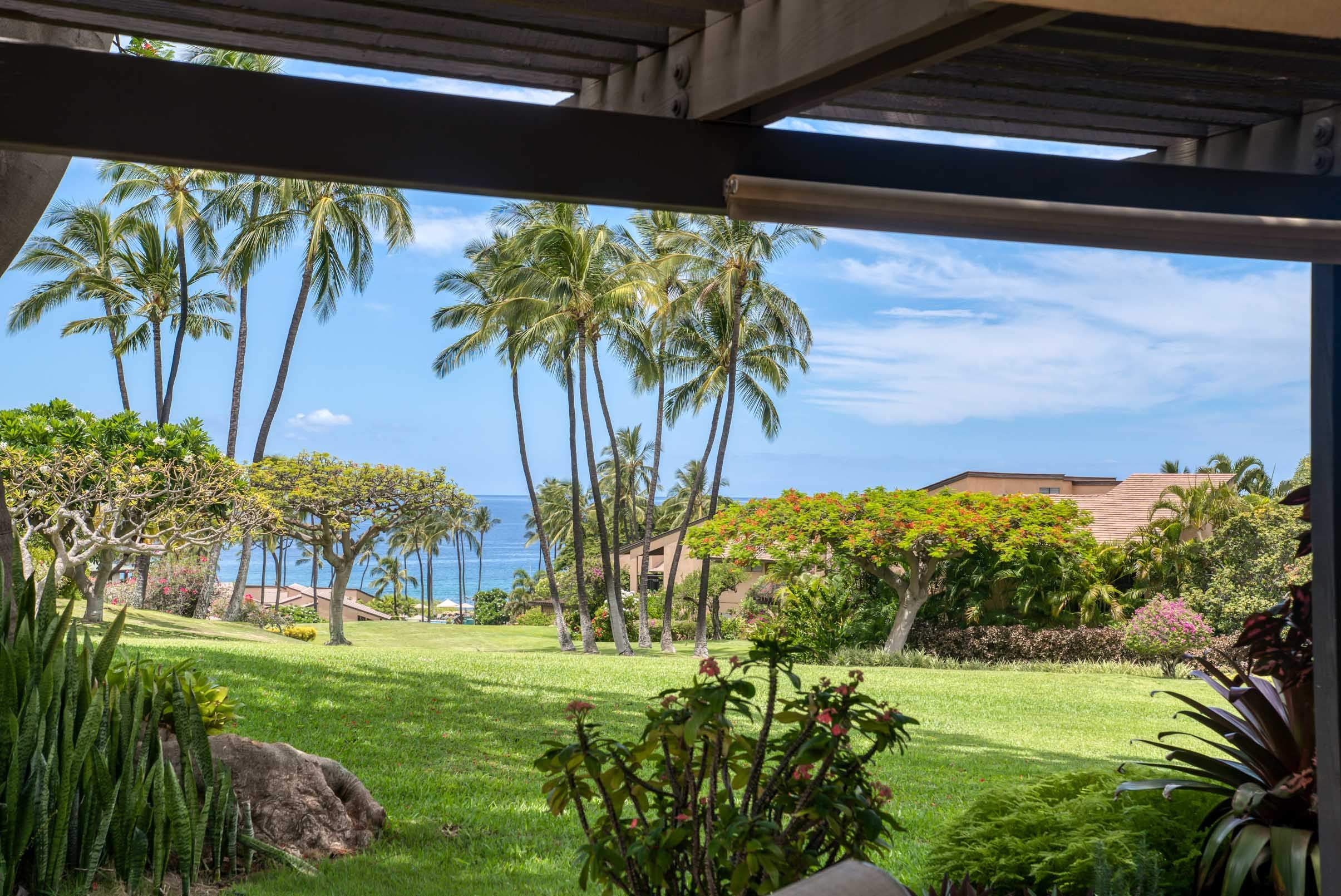Wailea Condo 978154