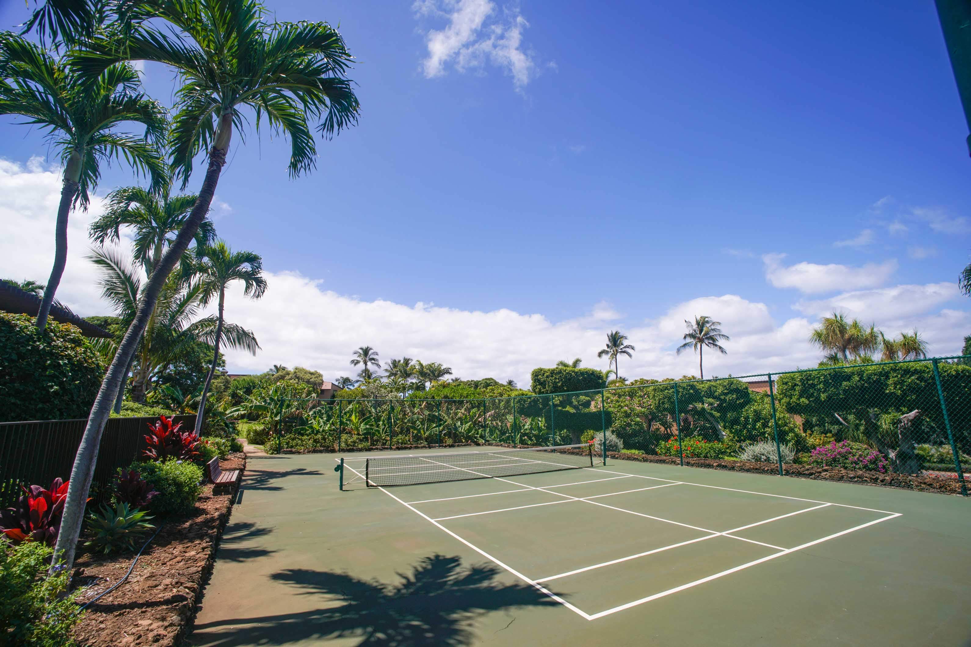 Wailea Condo 978154