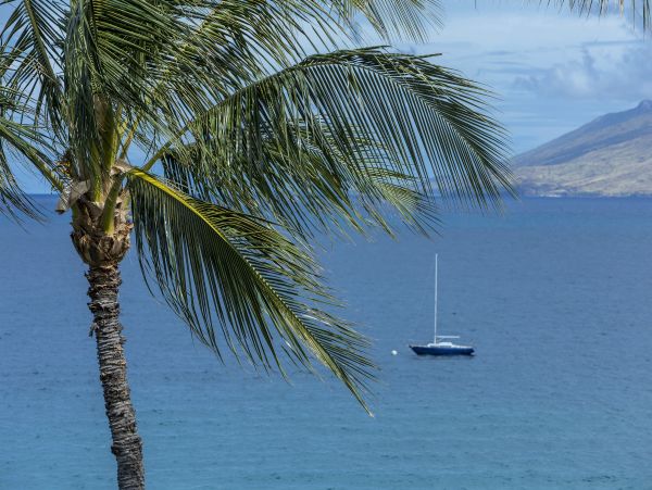 Kihei Condo 978156