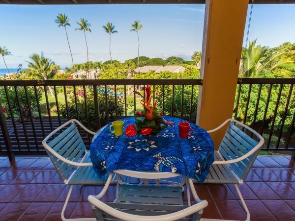 Wailea Condo 978158