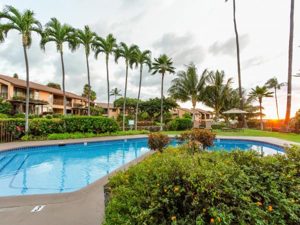 Wailea Condo 978158