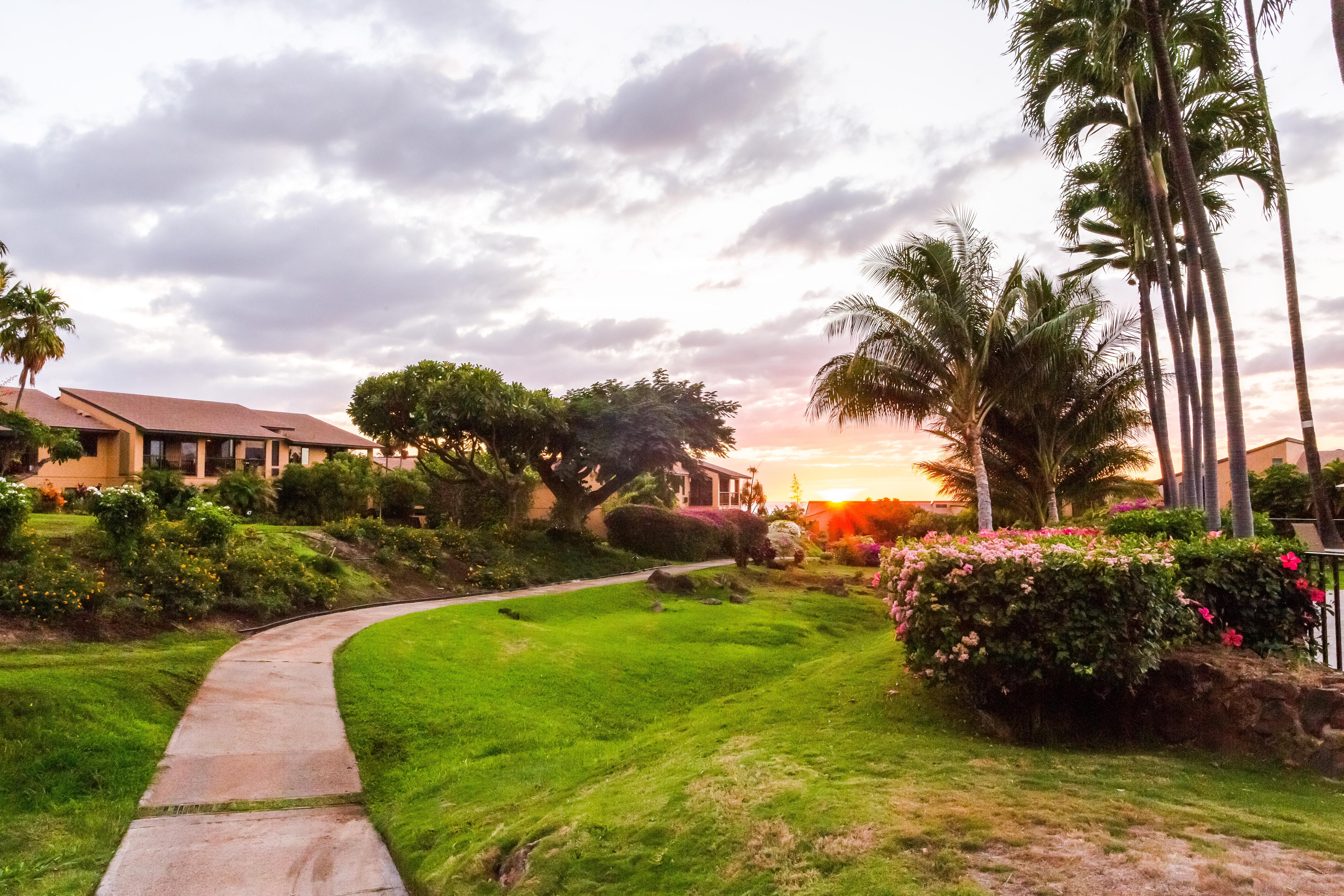 Wailea Condo 978158