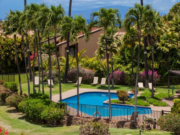 Wailea Condo 978159