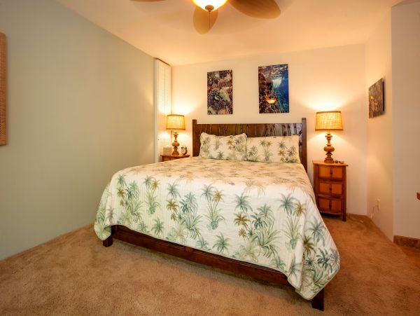 Wailea Condo 978159