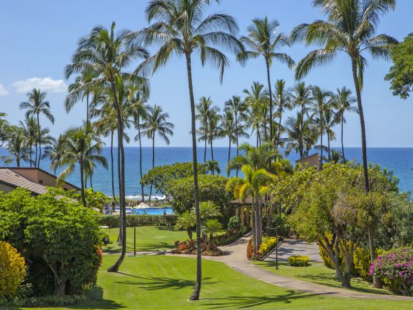 Wailea Condo 978159