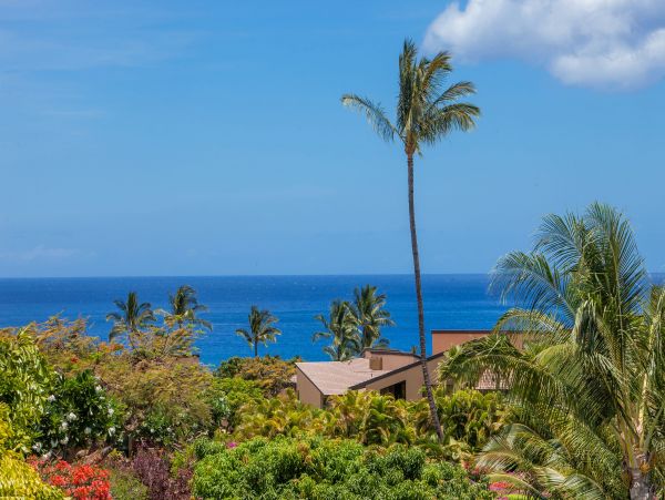 Wailea Condo 978159