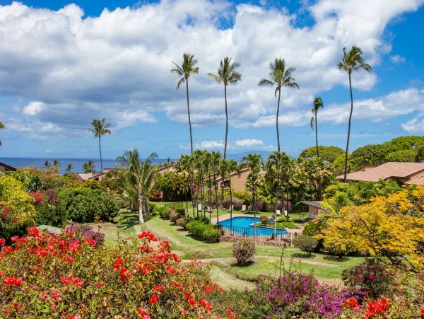 Wailea Condo 978159