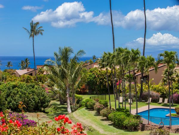 Wailea Condo 978159
