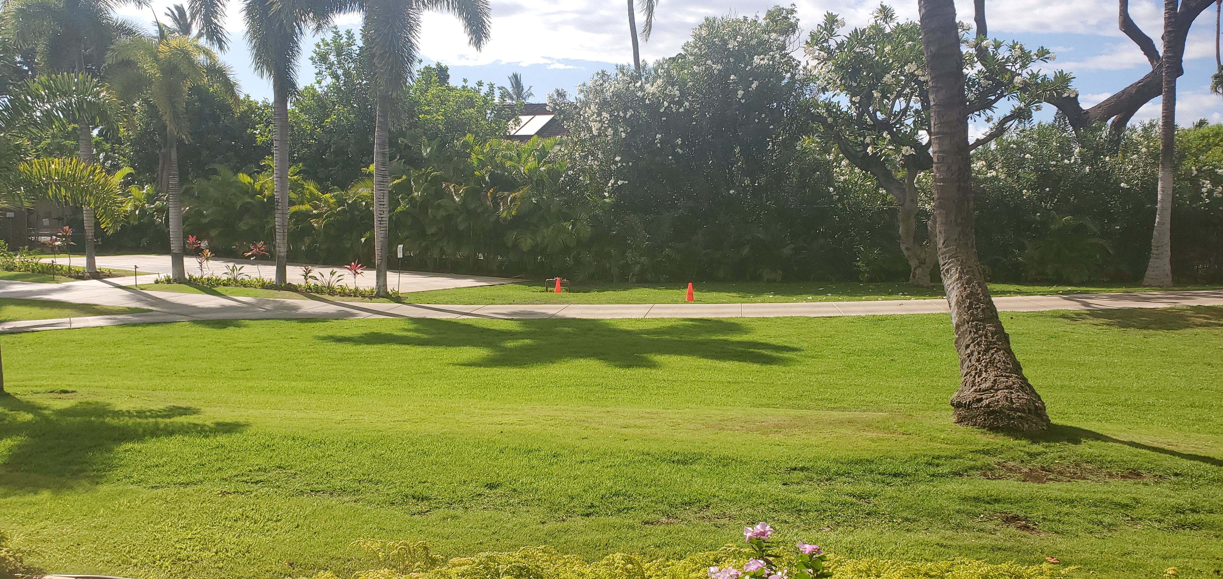 Wailea Condo 978160