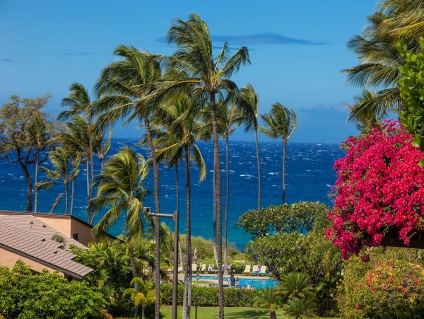 Wailea Condo 978160