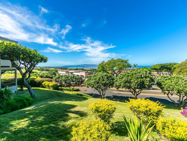 Wailea Condo 978161