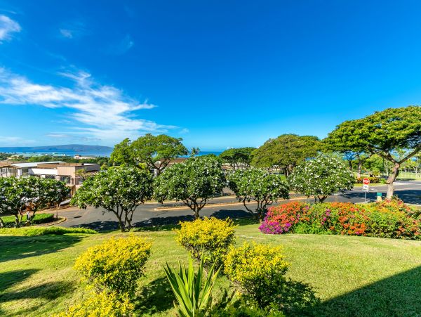Wailea Condo 978161