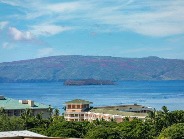 Wailea Condo 978161