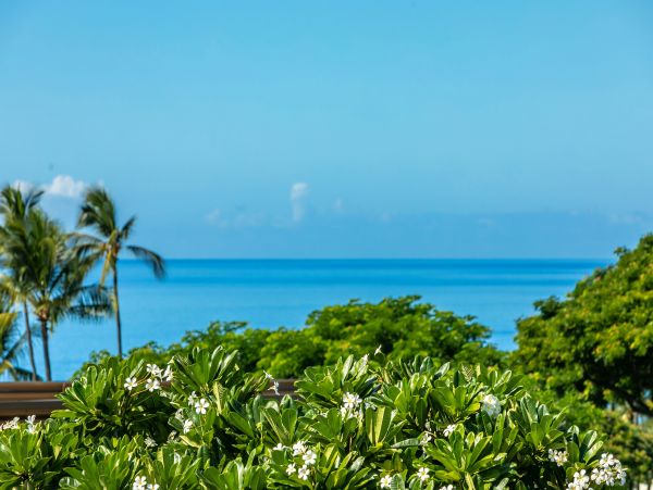 Wailea Condo 978161