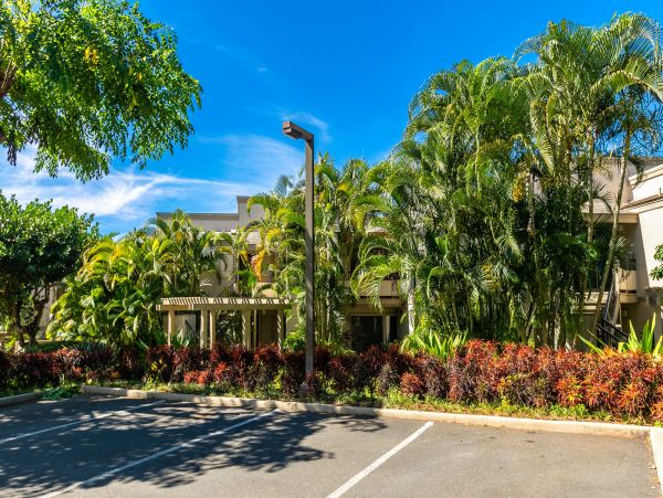Wailea Condo 978161
