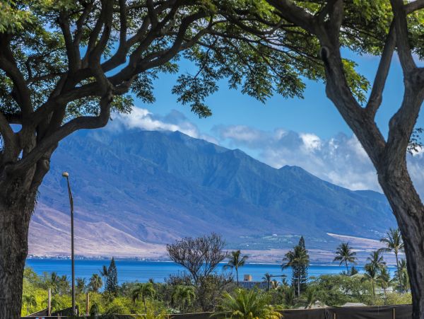 Wailea Condo 978162
