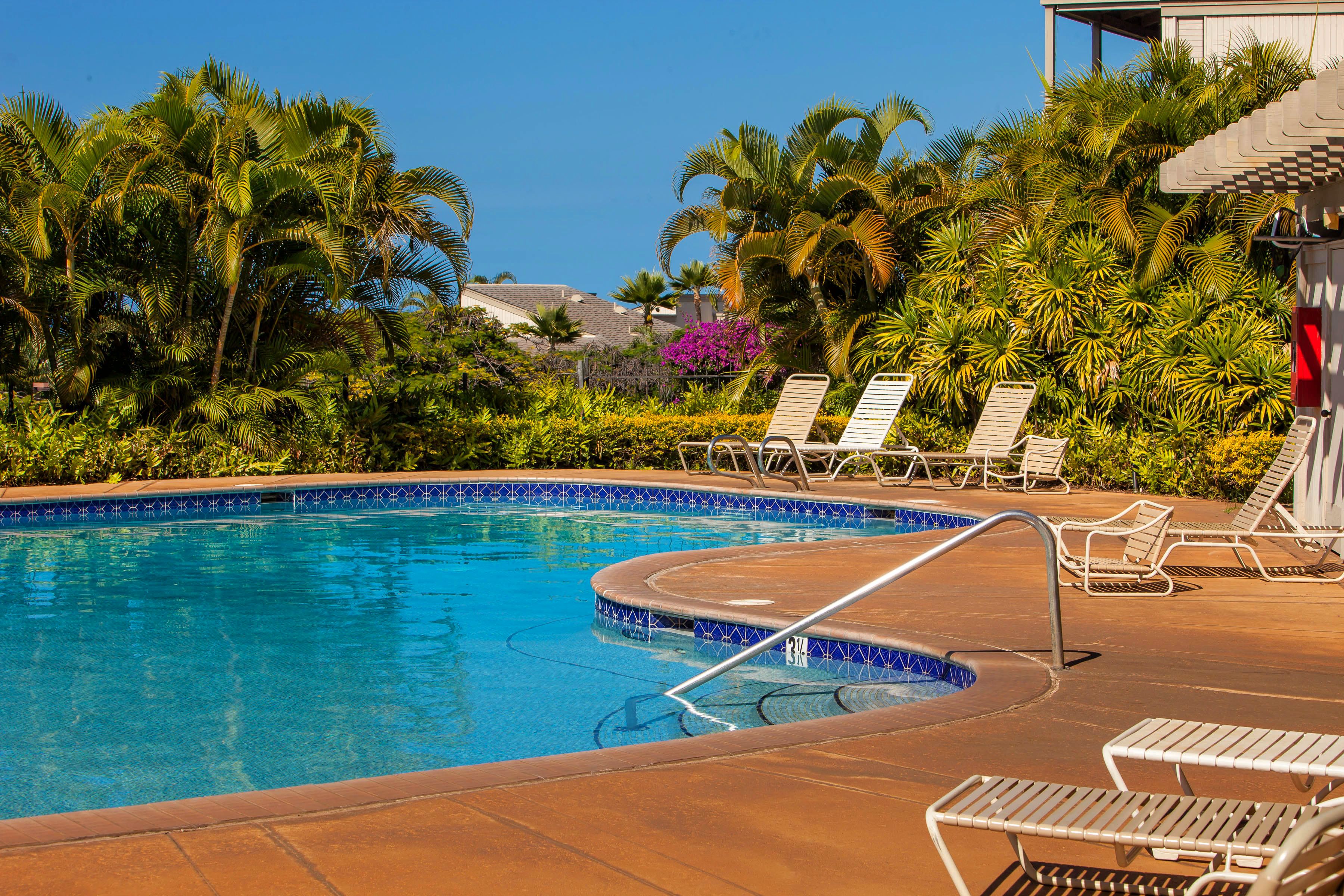 Wailea Condo 978162