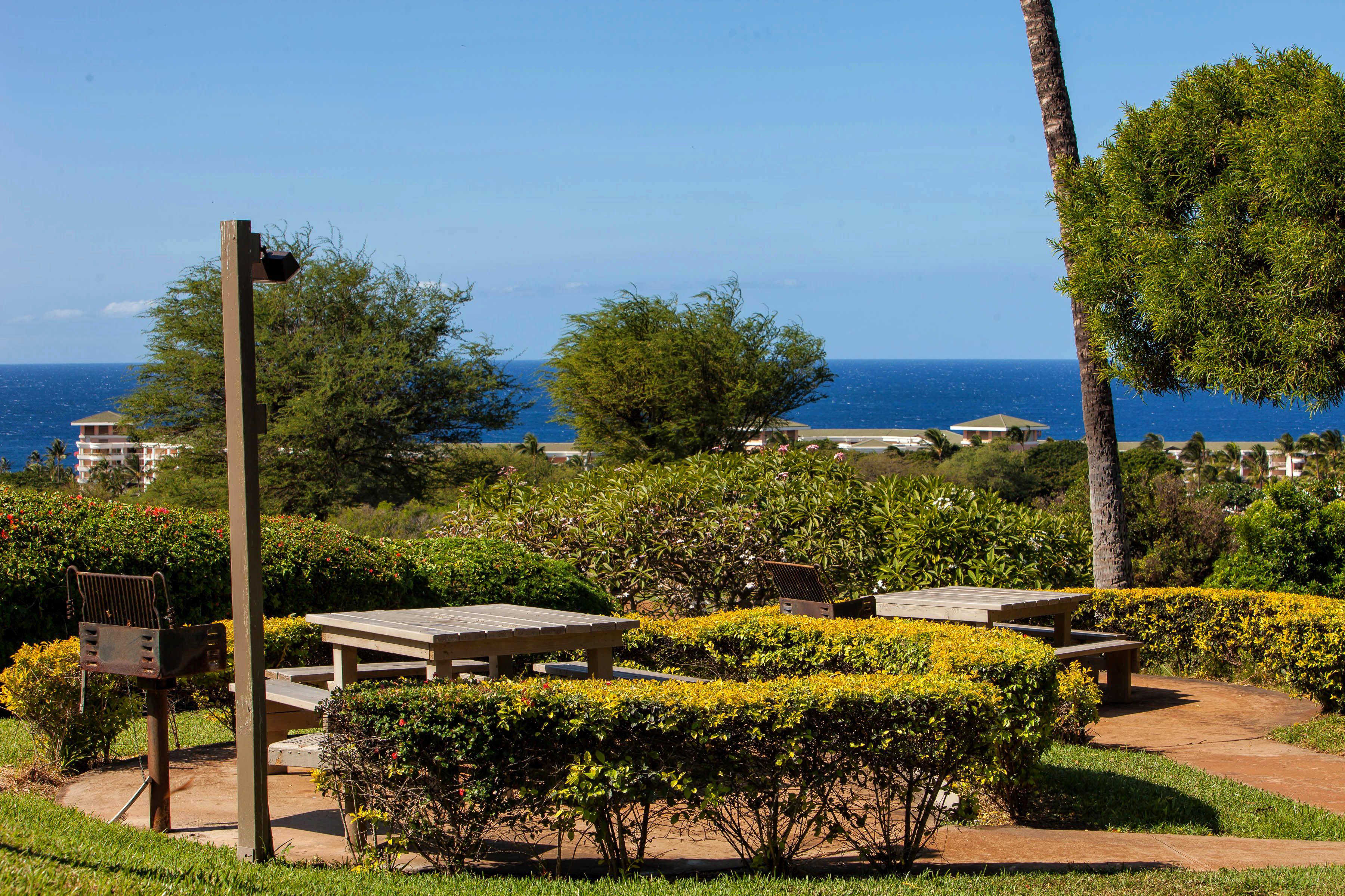 Wailea Condo 978162
