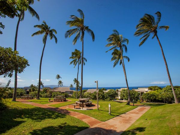 Wailea Condo 978162