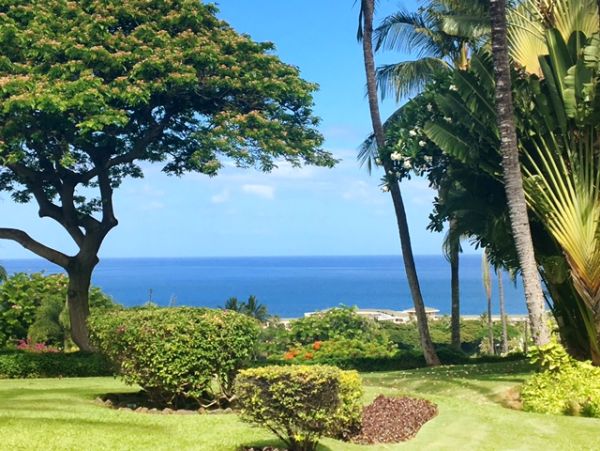 Wailea Condo 978163