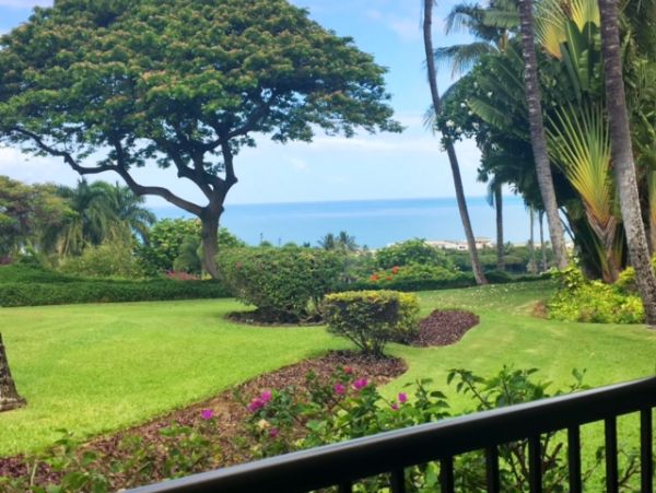 Wailea Condo 978163