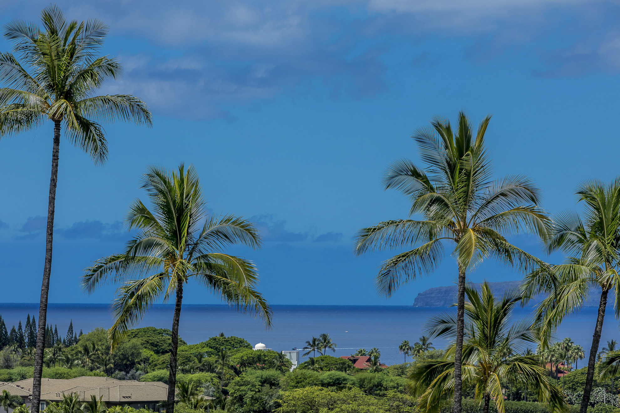 Wailea Condo 978163