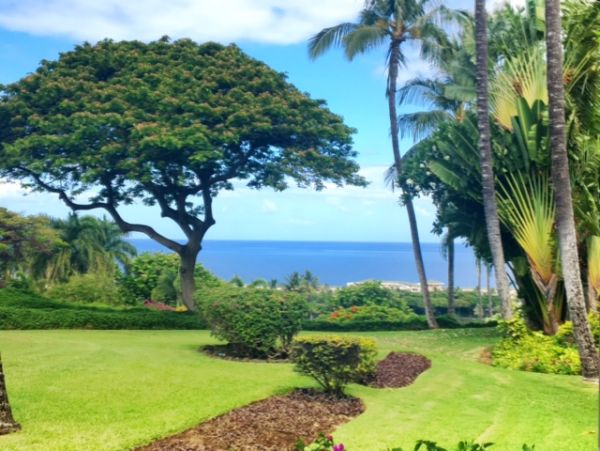 Wailea Condo 978163