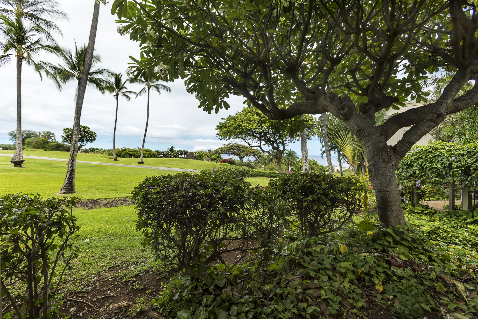 Wailea Condo 978163