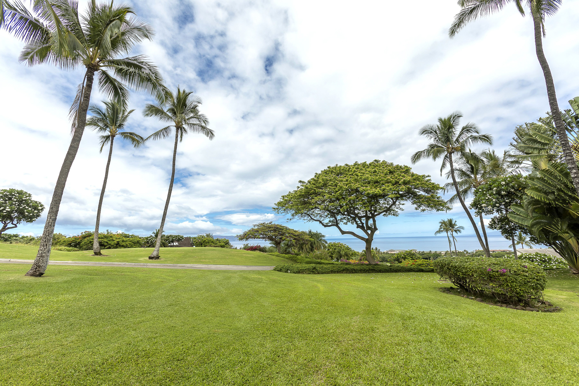 Wailea Condo 978163