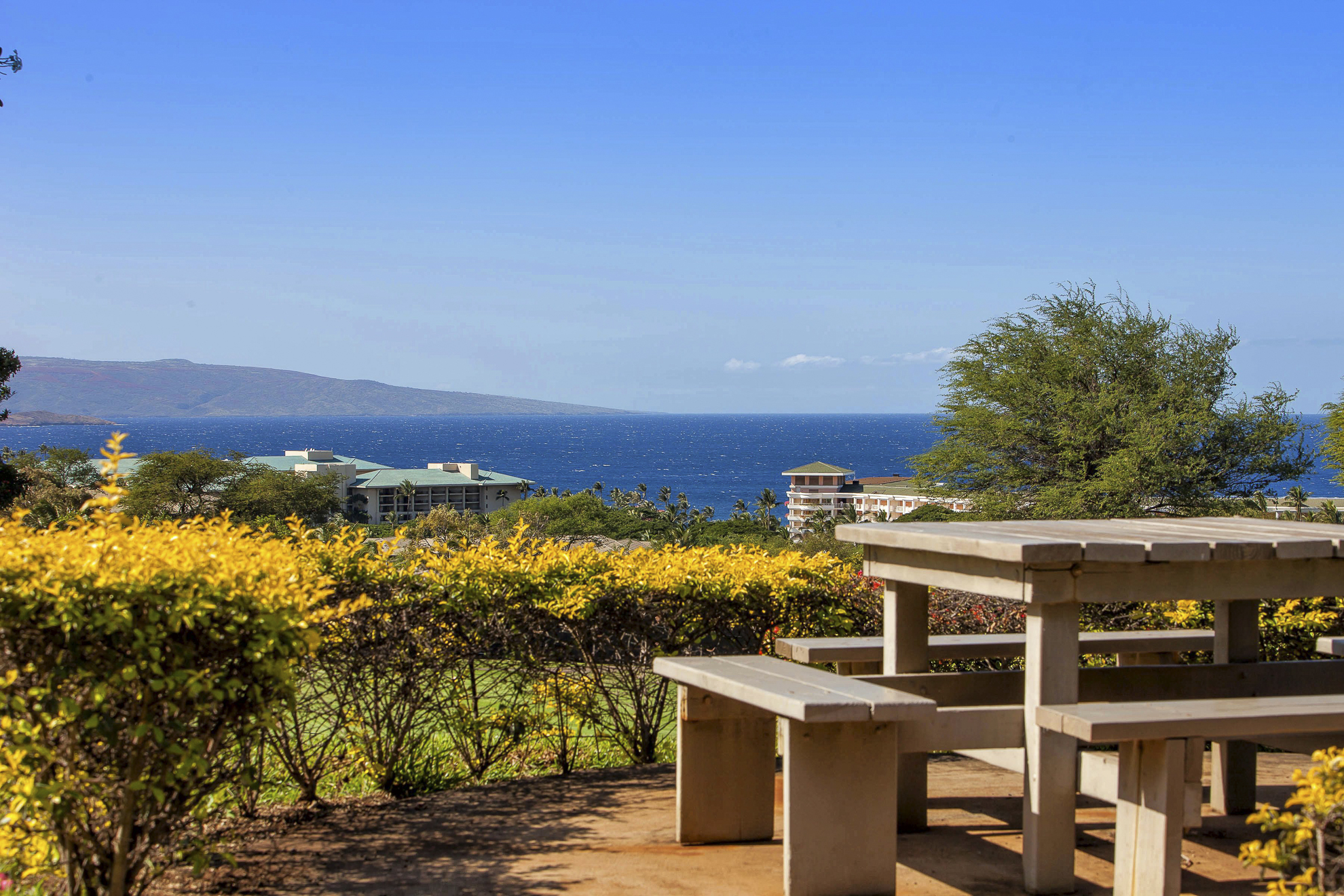 Wailea Condo 978163