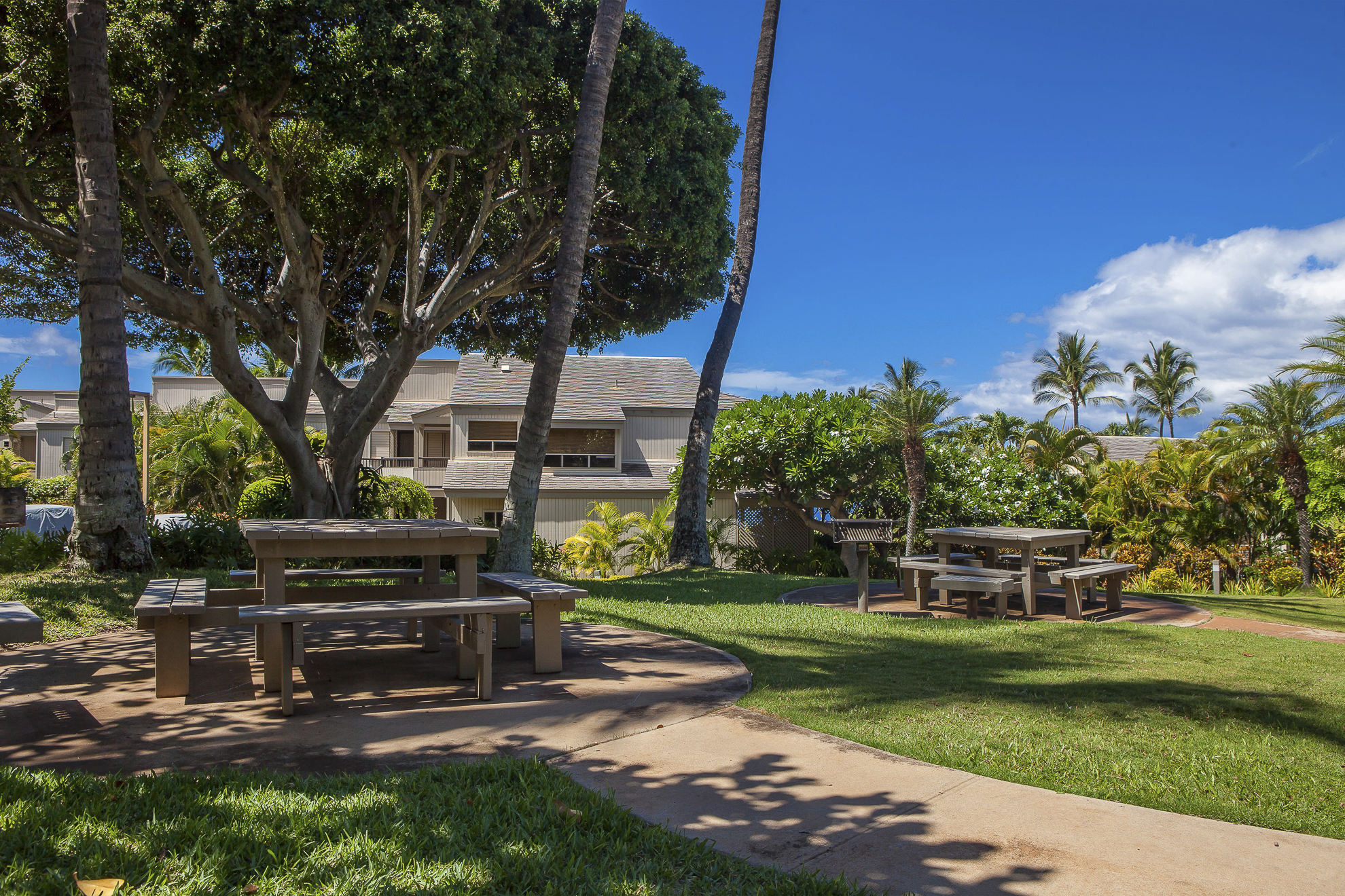 Wailea Condo 978163
