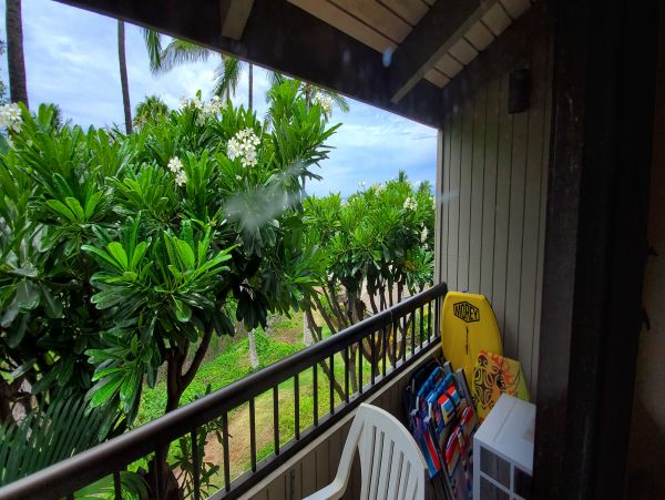 Wailea Condo 978164