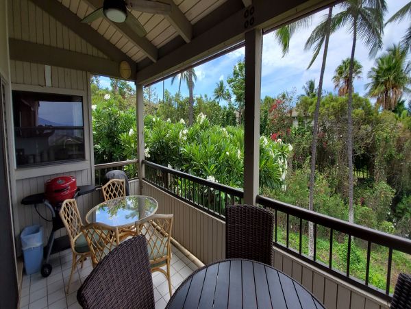 Wailea Condo 978164