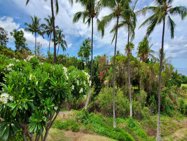 Wailea Condo 978164