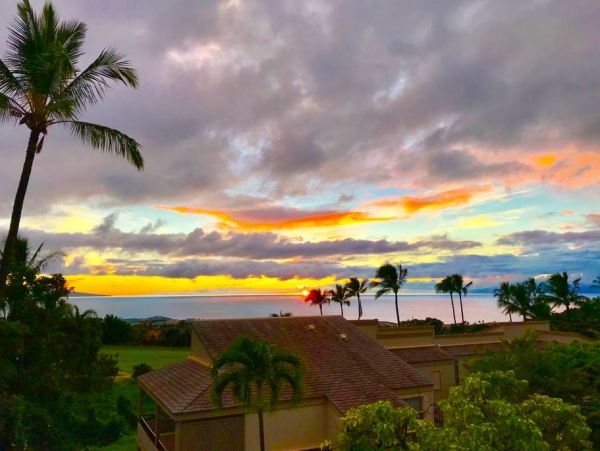 Wailea Condo 978164