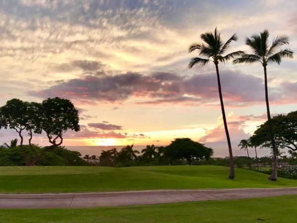 Wailea Condo 978164