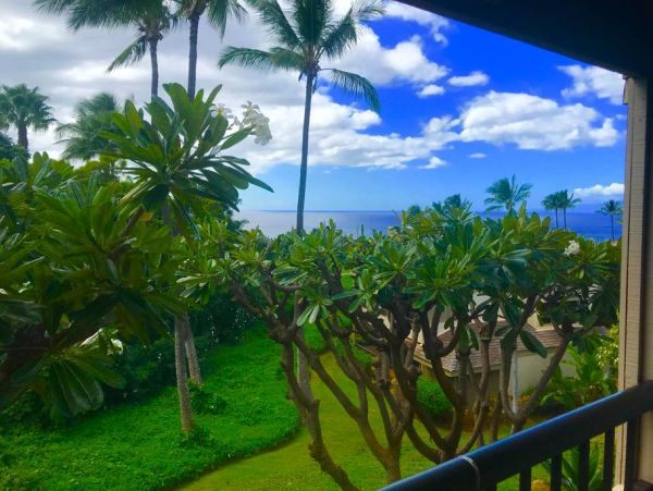 Wailea Condo 978164